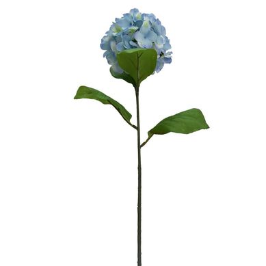 Haste Hortnsia Just Home Collection