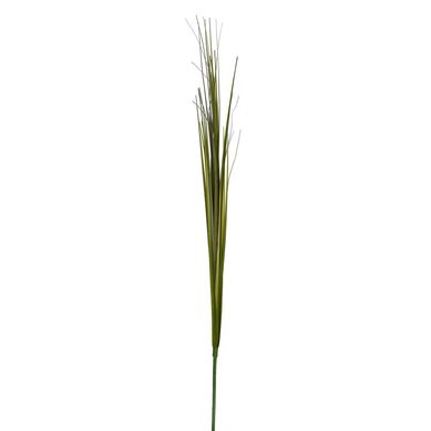 Haste Gramnea Just Home Collection
