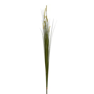 Haste Gramnea Just Home Collection