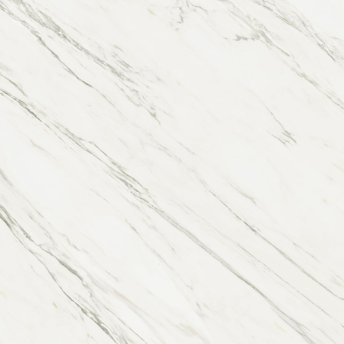 Porcelanato Retificado Natural Véu de Noiva White 120x120cm Caixa 1,44m² Ceusa, marca Ceusa - Foto 2