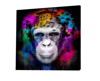 Quadro 50x50 Macaco Msico Colorido Just Home Collection