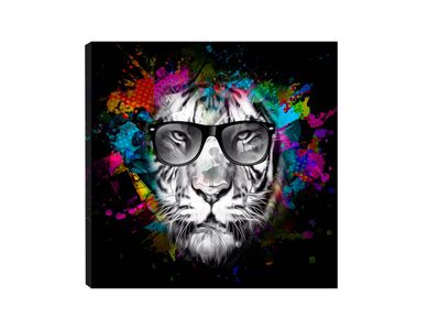 Quadro 50x50 Tigre culos Colorido Just Home Collection