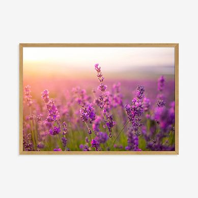 Quadro com Vidro Flores Lavanda 35x50cm Artimage