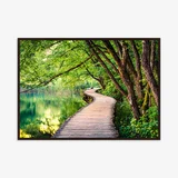 Quadro com Vidro Floresta Caminho 50x70cm Artimage