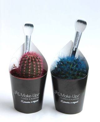 Planta Suculenta Colours Pote06