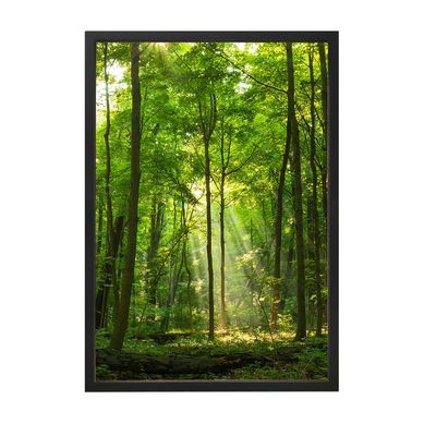 Quadro Decorativo 35X50 cm rvores IX Verde Arte Prpria