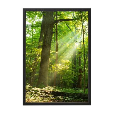 Quadro Decorativo 35X50 cm rvores X Verde Arte Prpria