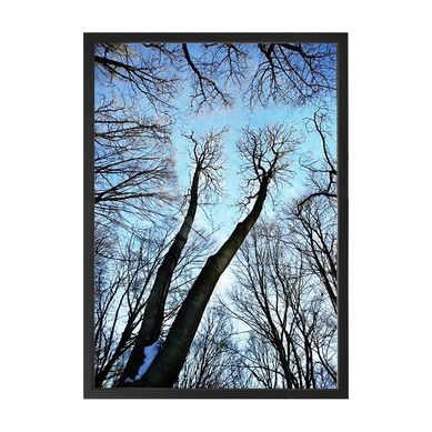 Quadro Decorativo 50X70 cm rvores I Azul Arte Prpria