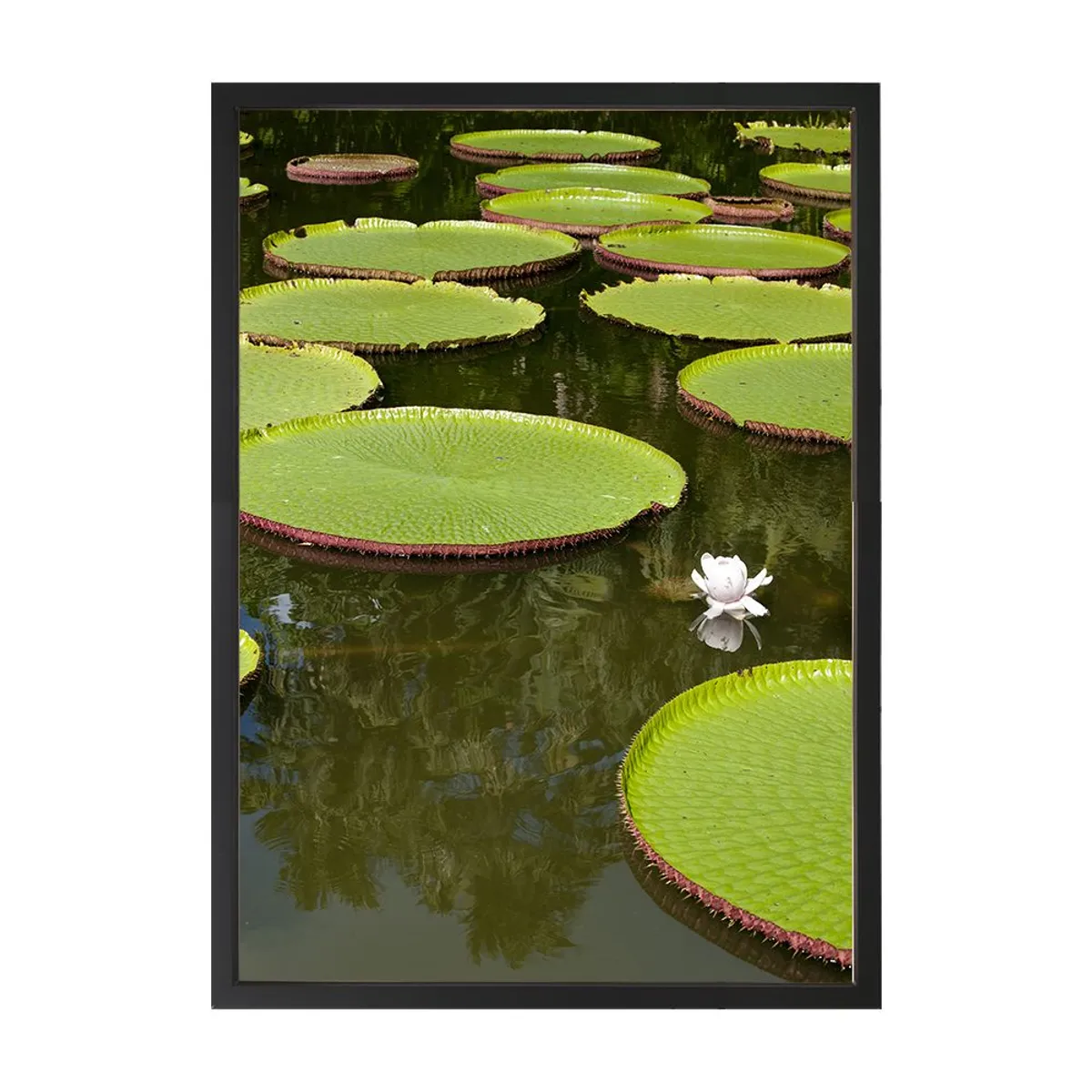 Quadro Decorativo 50X70 cm Natureza I Verde Arte Própria, marca Arte Própria - Foto Principal
