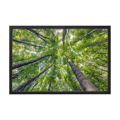 Quadro Decorativo 60X90 cm rvores VI Verde Arte Prpria
