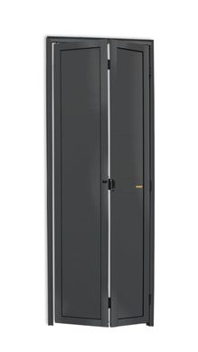 Porta Camaro Alumnio Cinza 2 Folhas Esquerda 210x60x4,6cm L.25