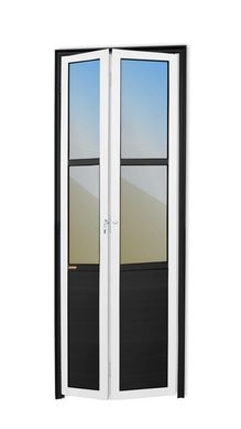 Porta Camaro e Vidro Alumnio Mix Preto 2 Folhas Direita 210x80x4,6cm L.25