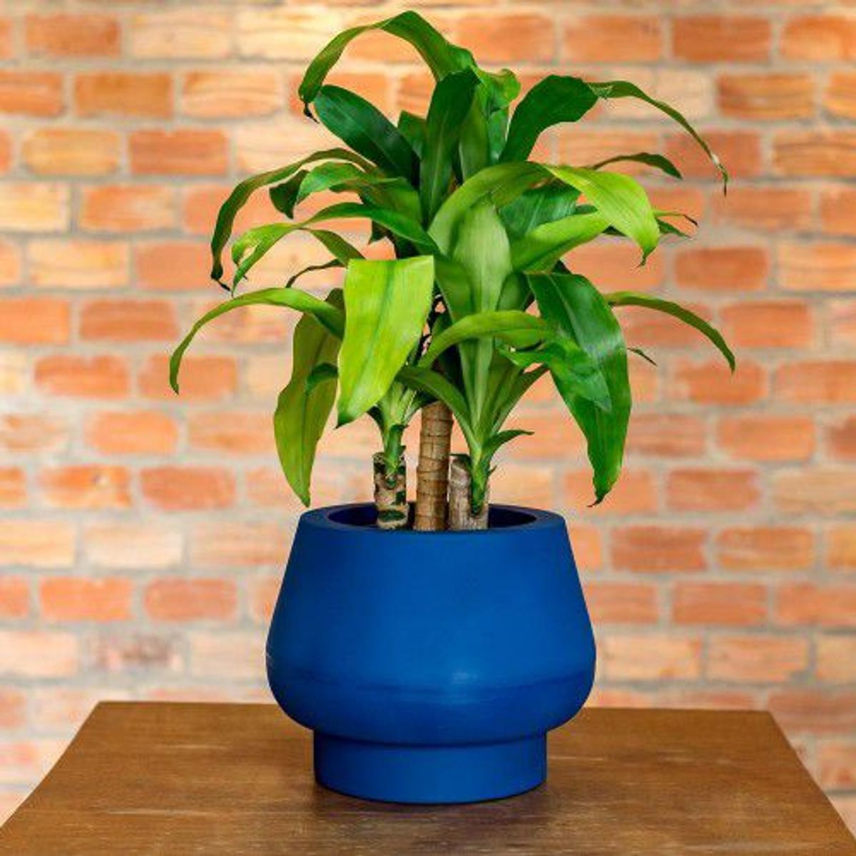 Vaso Cumbuca 25x32cm Azul Macauba Vasap, marca Vasap - Foto 2
