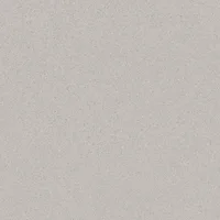 Porcelanato Ice Snow 121x121cm Caixa 2,93m² Ar24207 Damme