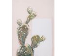 Canvas Cactus 30x40cm Homy