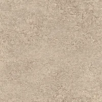 Papel de Parede Vinílico Cimento Rústico