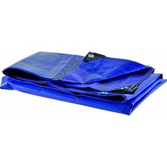 Lona de Polietileno 100 Micras Azul Uv 4X5 Ferrari Ferrari/Rexon