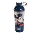 Shakeira Vip Mickey Adulto