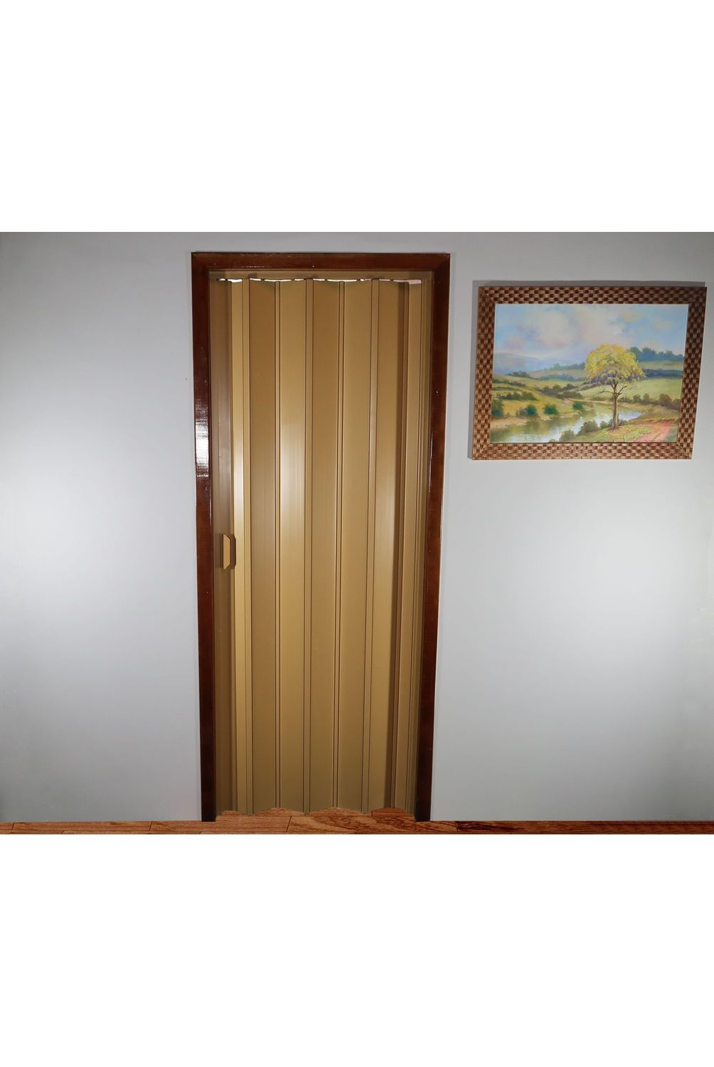 w=1004,h=1500,fit=pad