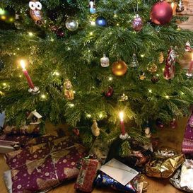 Natal