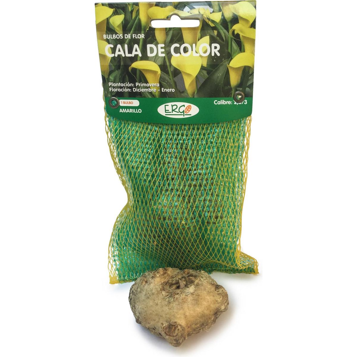 ERGO - Bulbo Cala Amarillo 