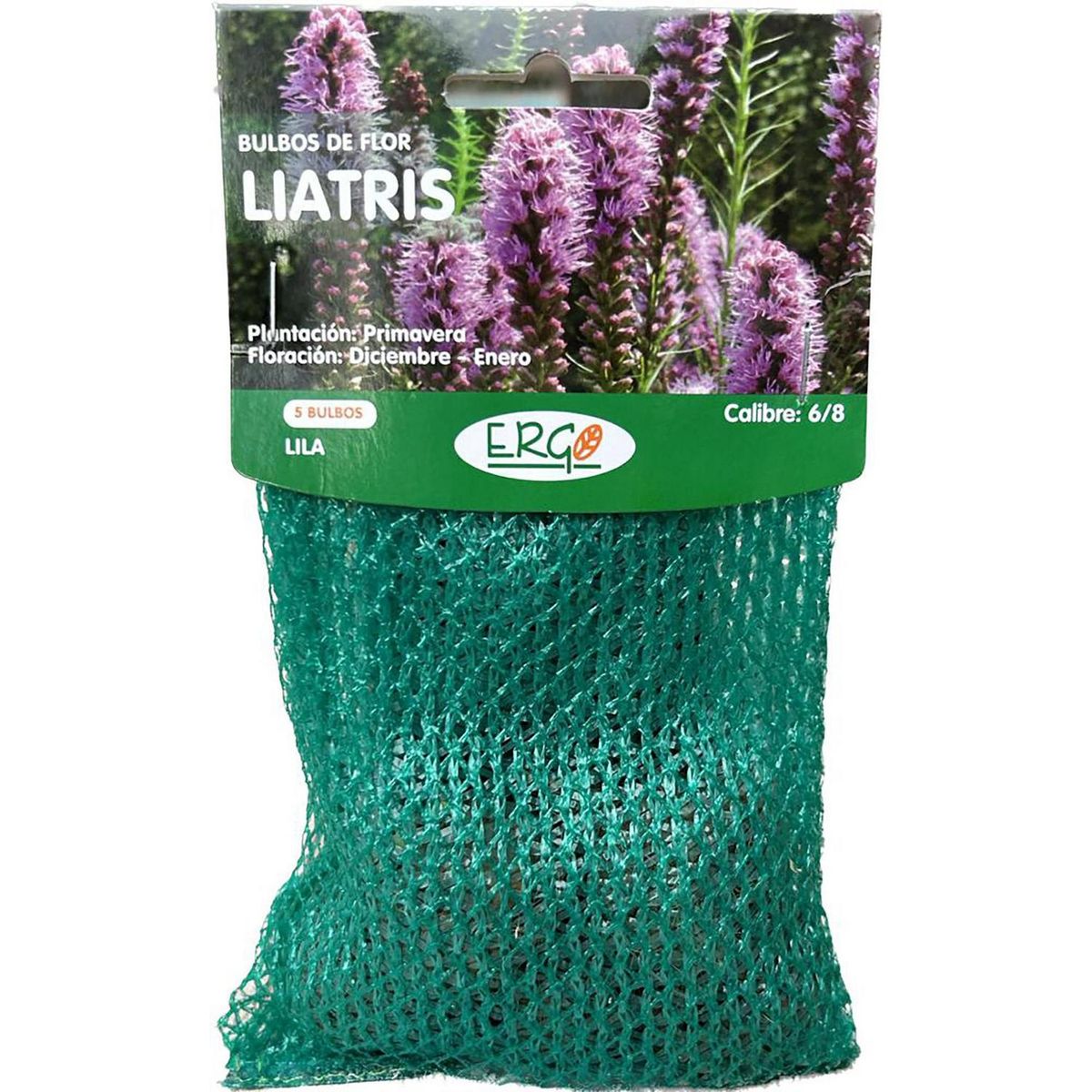 ERGO - Bulbo de Liatris Bolsa