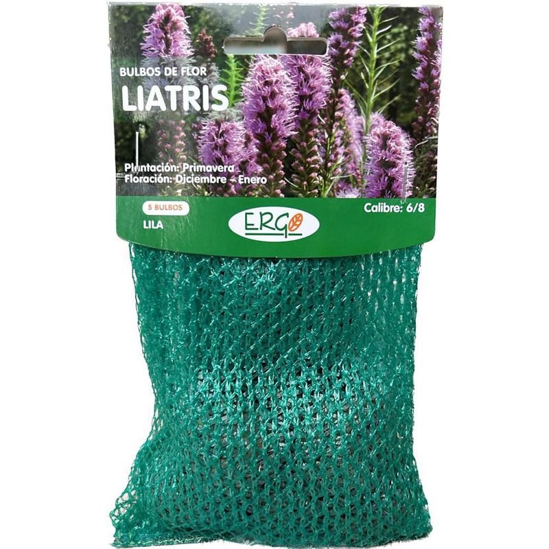 ERGO - Bulbo de Liatris Bolsa