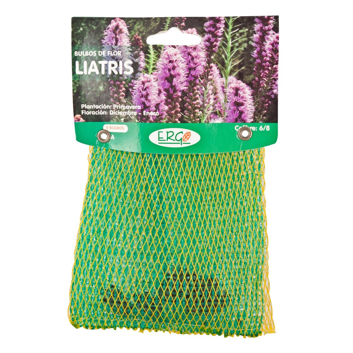 ERGO - Bulbo de Liatris Bolsa