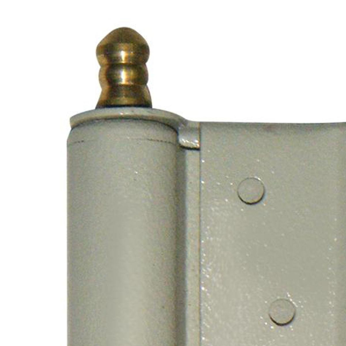 FIXSER - Bisagra doble acción 3" bronce