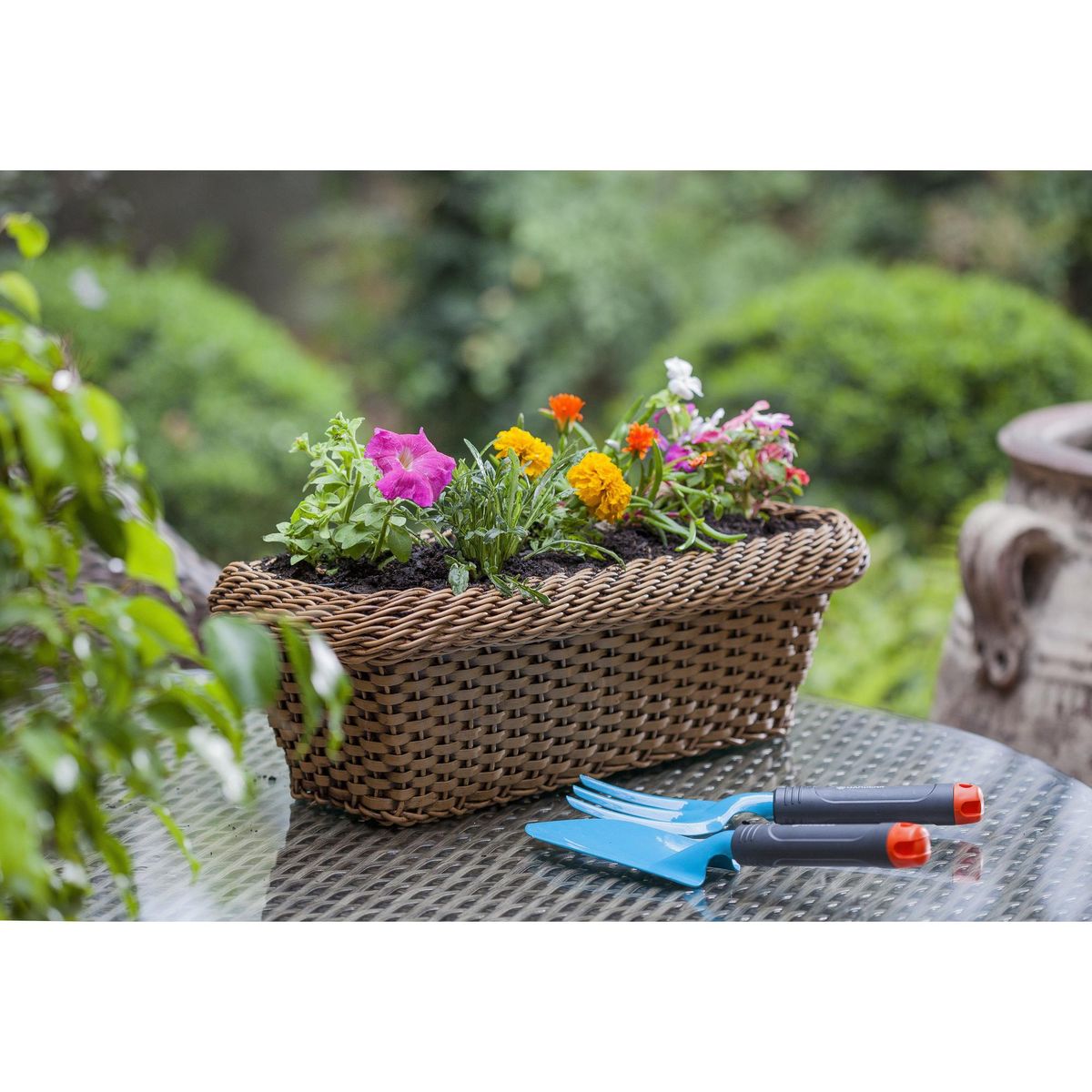 FLORES DE MI TIERRA - Clavelon 10 cm Natural CT11