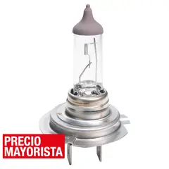 BOSCH - Ampolleta para automóvil 55 W