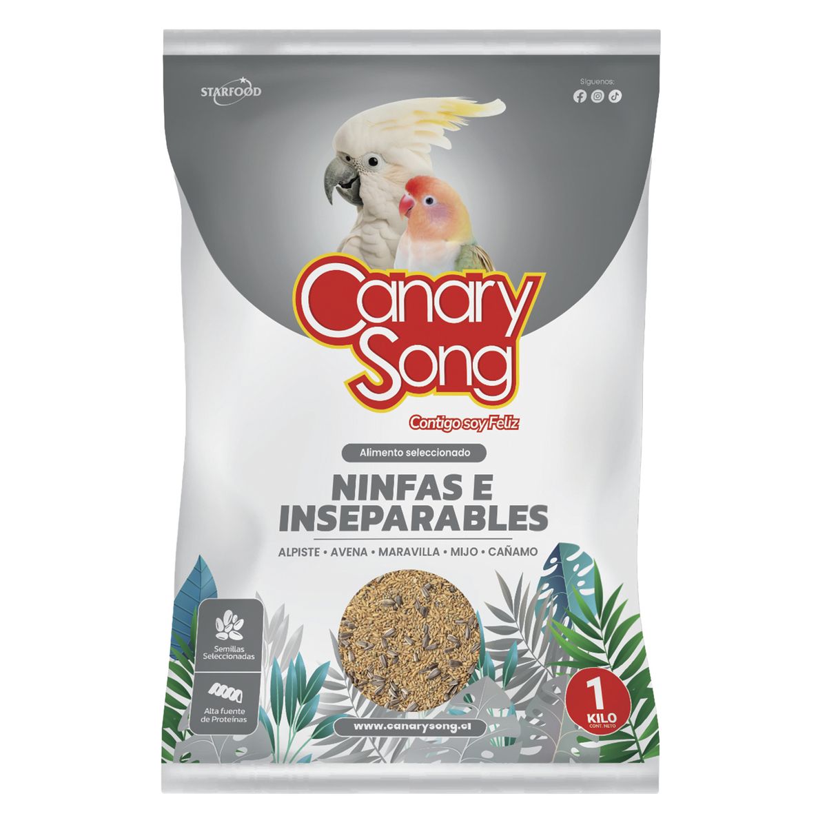 CANARY SONG - Alimento para Ave Todas las edades Variadas Semillas 1 kg