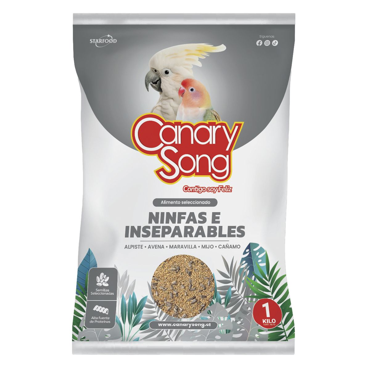 CANARY SONG - Alimento para Ave Todas las edades Variadas Semillas 1 kg
