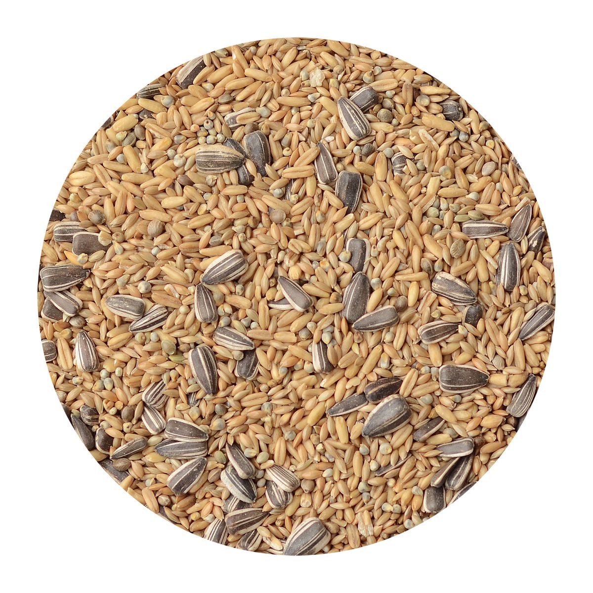 CANARY SONG - Alimento para Ave Todas las edades Variadas Semillas 1 kg