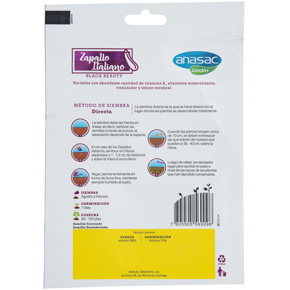 ANASAC - Semilla Zapallo Italiano 5 gr Sachet