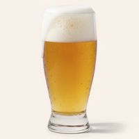 Set 6 Vaso Vidrio 360 ml Cervecero