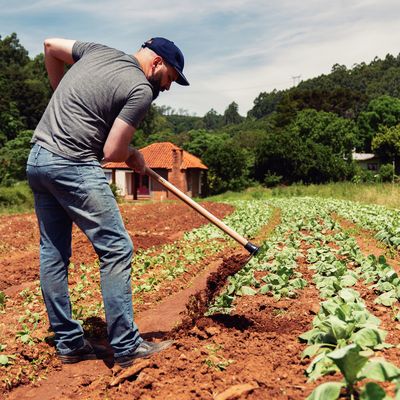 Imagen 2 del producto Azadón Forjado Con Mango 130 Cm Para Jardín