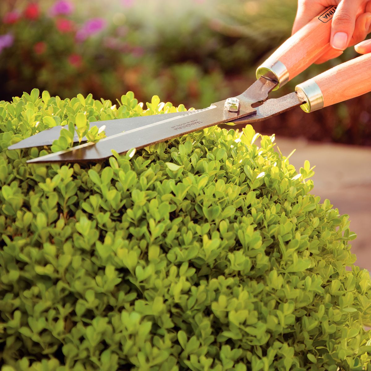 TRAMONTINA - Tijerón para jardín de acero café