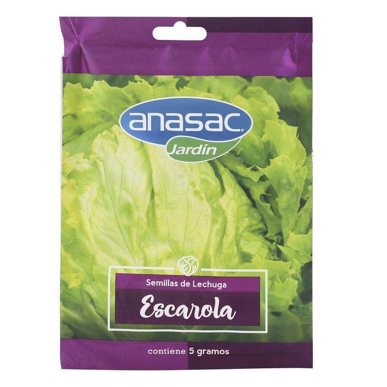 Semilla Lechuga Escarola 5 gr Sachet