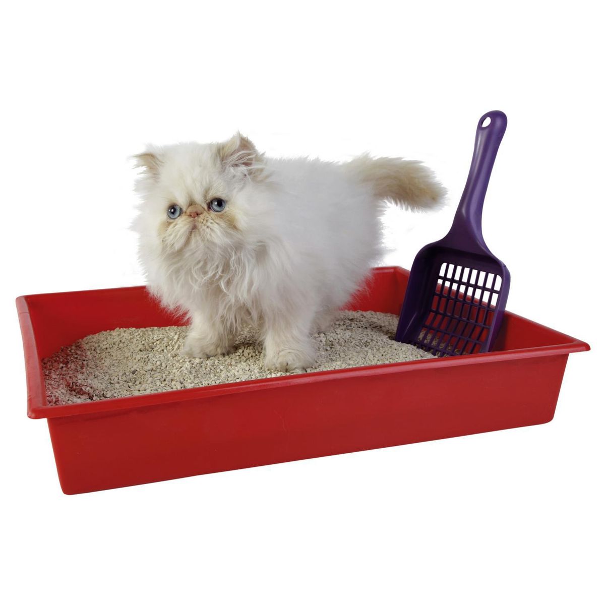 PETS AND FRIENDS - Pala sanitaria para arenero para gatos