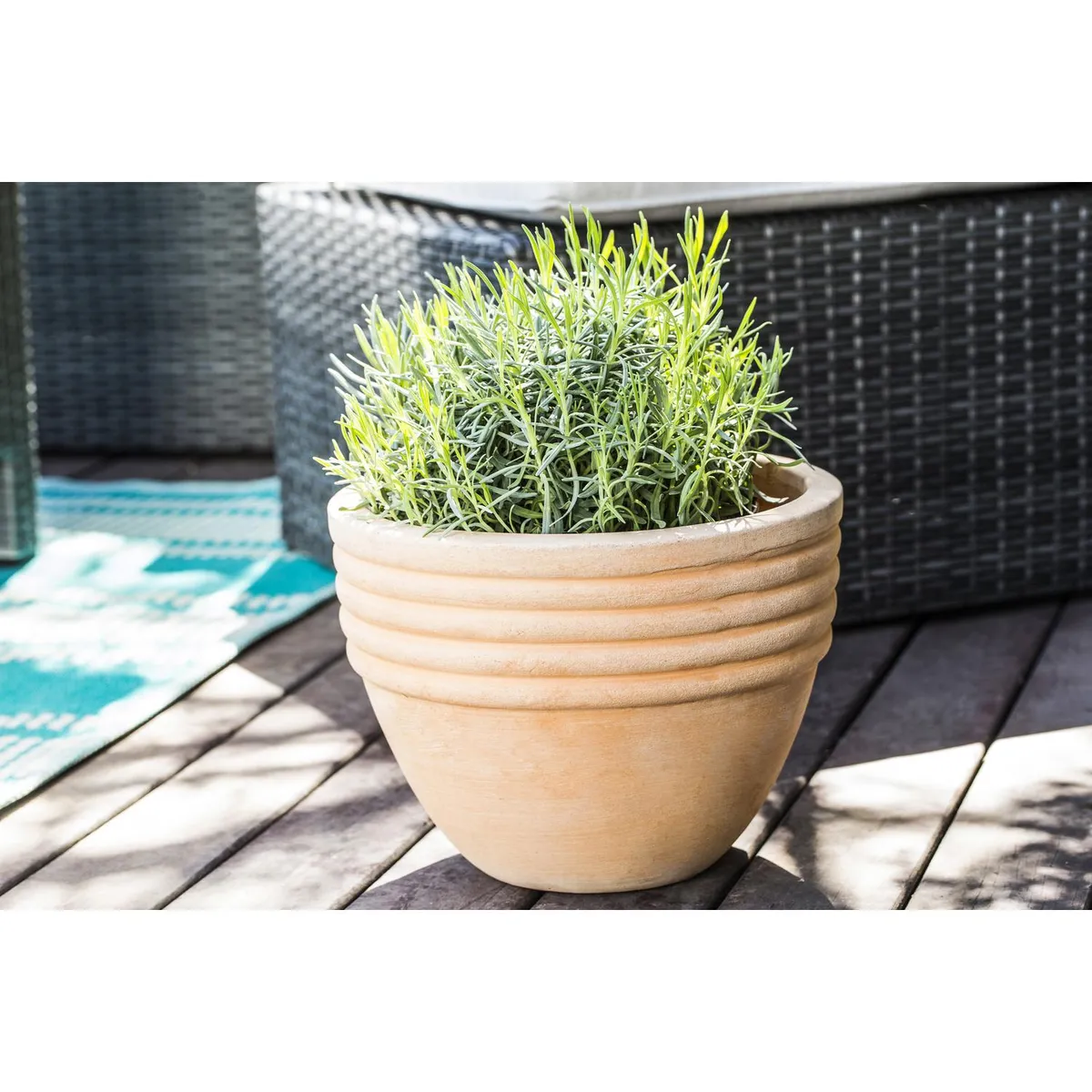 CASA BONITA - Macetero rústico de arcilla