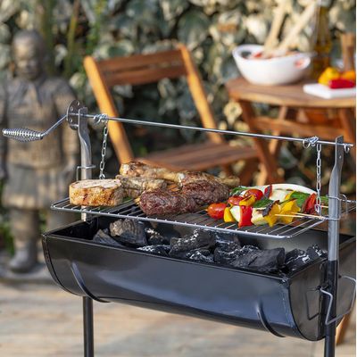 Imagen 2 del producto Parrilla a Carbón con Roldana Metal