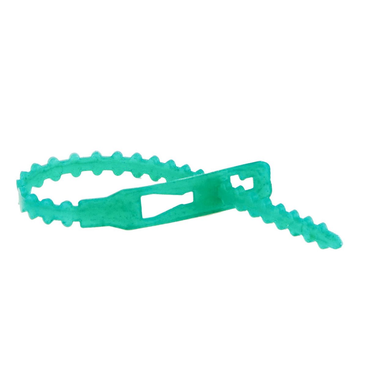 ERGO - Set de amarras para plantas 20 unidades verde