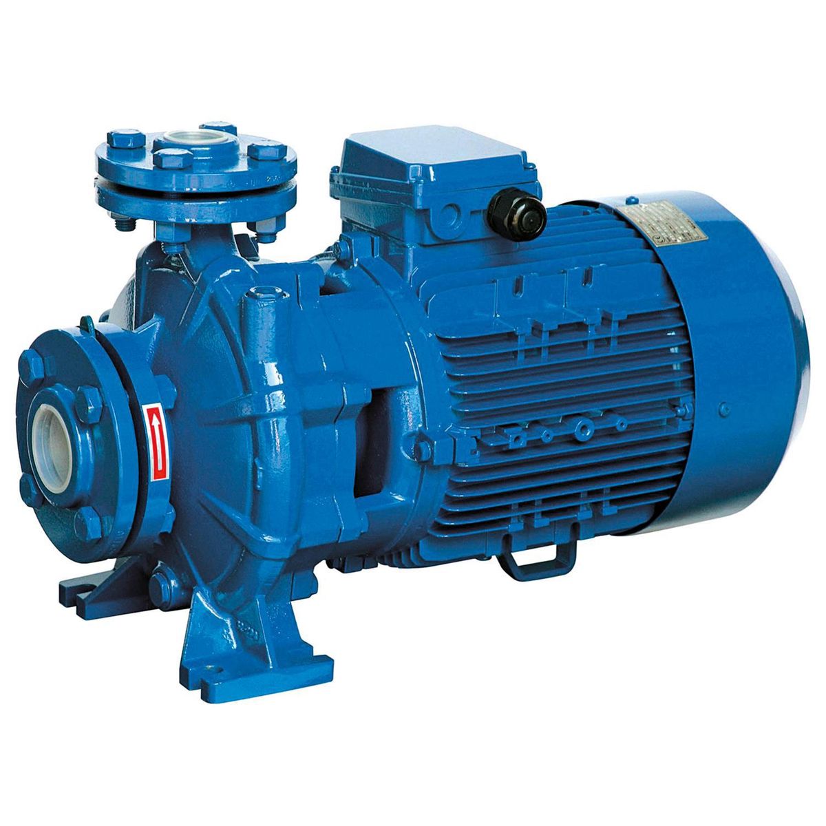 REGGIO - Electrobomba centrífuga normalizada 10 HP 1300 l/min