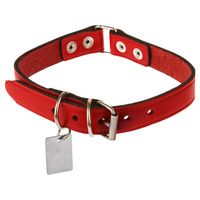Collar Para Perro Con Placa Identificatoria