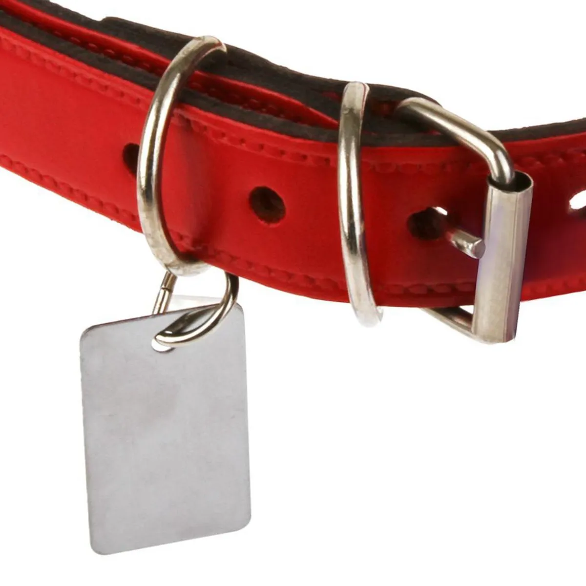 PETIZOOS - Collar para perro de cuero con placa