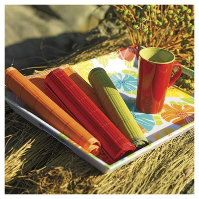 Imagen 2 del producto Individual de Plástico 30x45 cm 1 Unidad