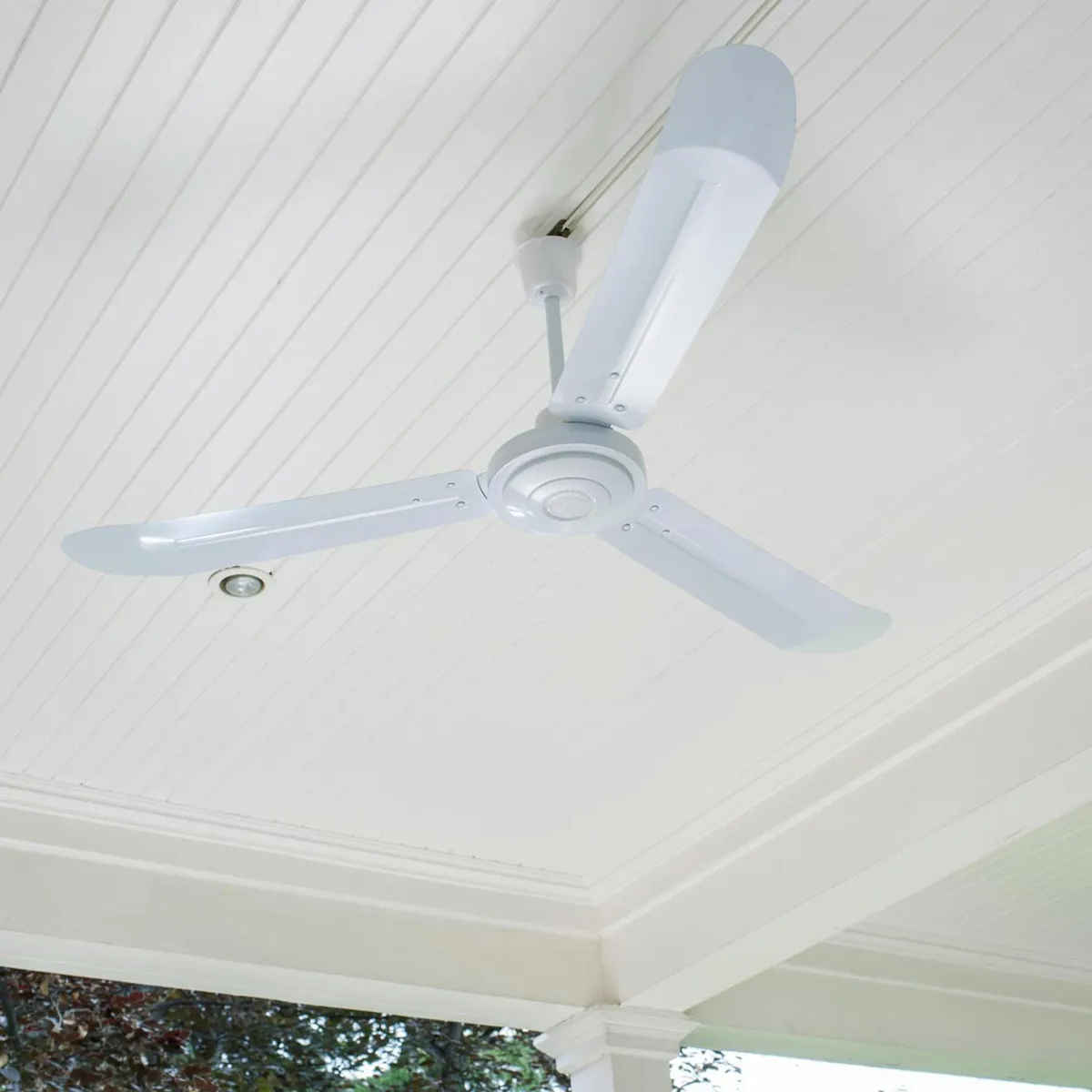 HALUX - Ventilador de Techo Metal Blanco 3 Aspas con Interruptor a la Pared