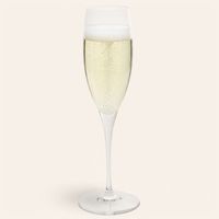 Set 6 Copas de Champán 260 ml Vidrio Transparente