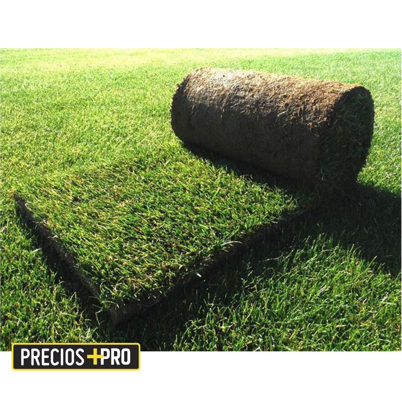 GENERICO - Palmeta pasto Premium 1 m2 aprox
